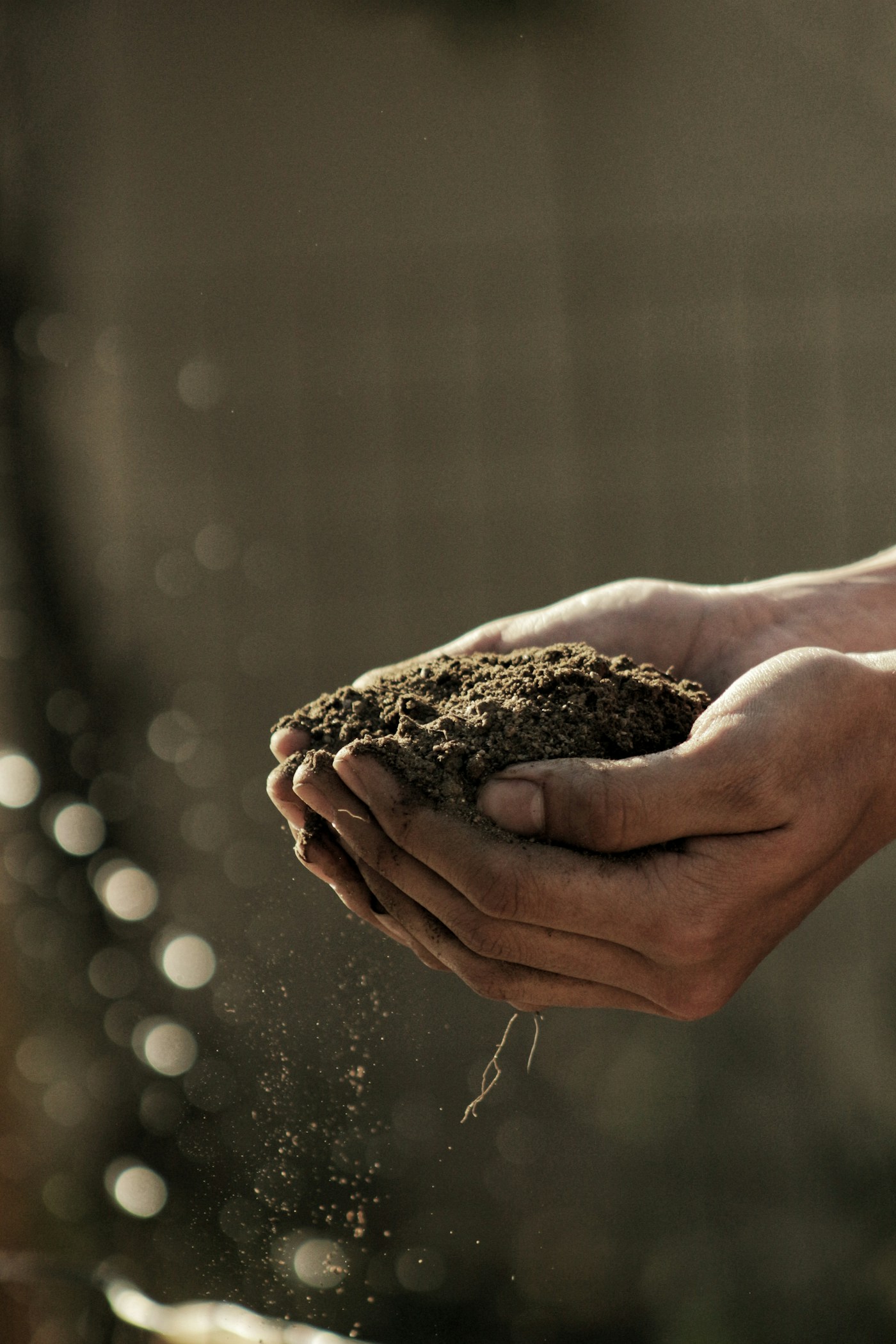 Farmer holding healthy soil in both hands